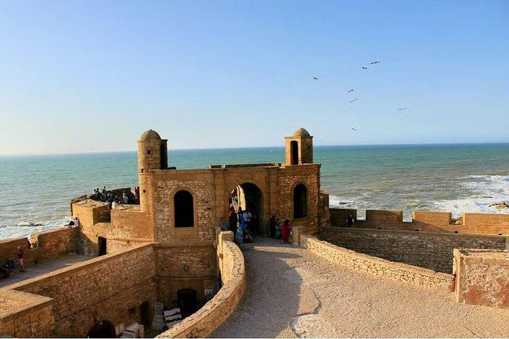Agadir Essaouira Day Tour with Medina Exploration and Beach Stop
