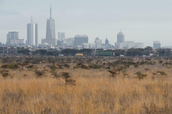 Nairobi National Park Half Day Guided Tour Tour with Free WiFi