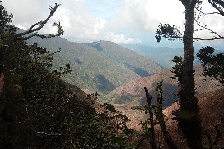 Blue Mountains Peak Hike