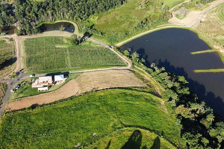 Coffee and Wine Roadmap in Espírito Santo do Pinhal