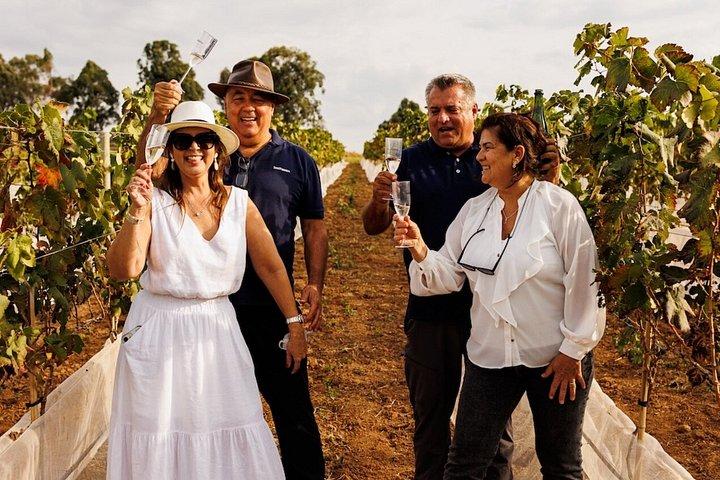 Coffee and Wine Roadmap in Espírito Santo do Pinhal