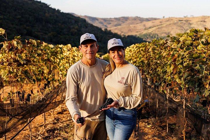 Coffee and Wine Roadmap in Espírito Santo do Pinhal