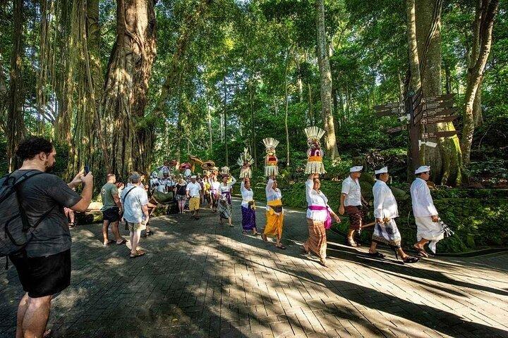 Bali Tour en coche privado con conductor de habla Inglés