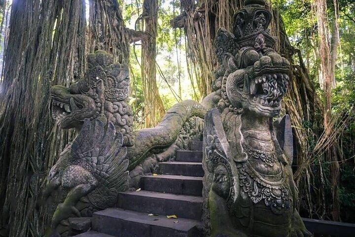 Blue Lagoon Snorkeling and Lunch - Ubud Monkey Forest - Waterfall