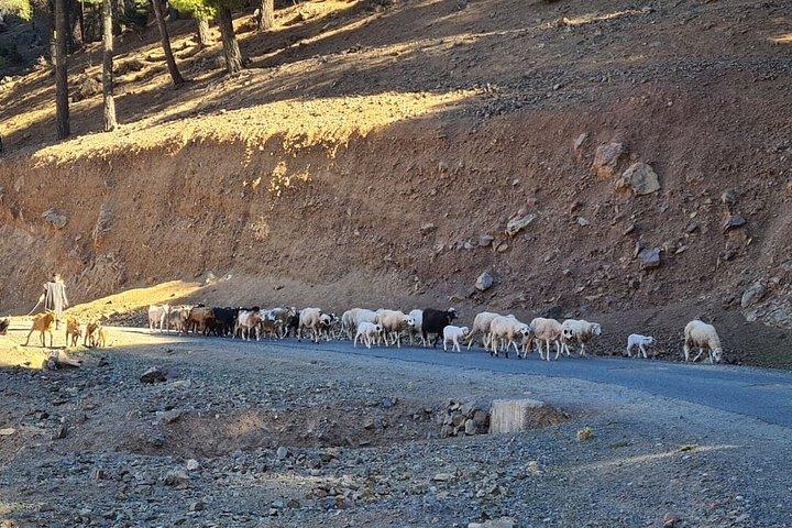 Escursione privata alle Tre Valli da Marrakech