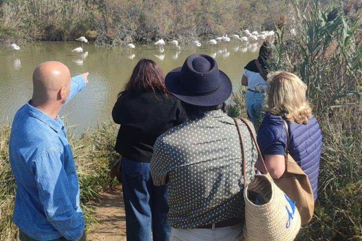 Tour di un'intera giornata in Camargue da Avignone