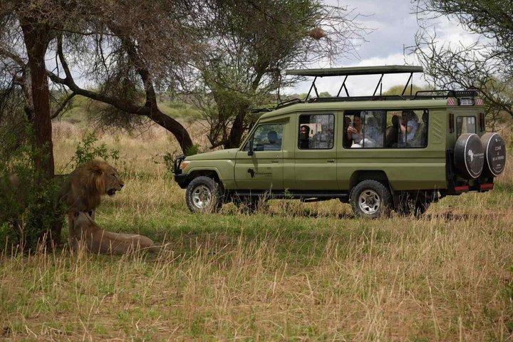 Safari privado de 3 días al cráter Serengeti y Ngorongoro