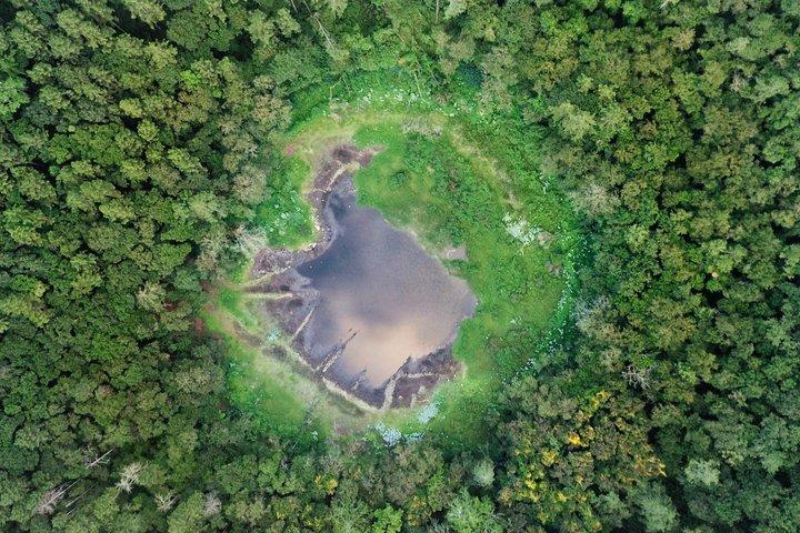 Mauritius South and Central Tour Crater, Waterfalls, Tea Factory