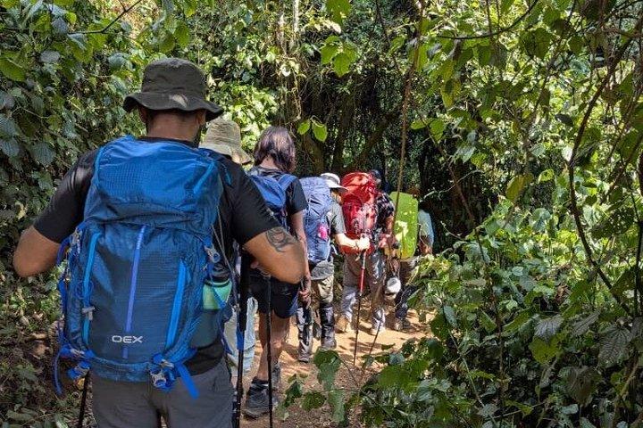 Kilimanjaro dagstur marangu rute