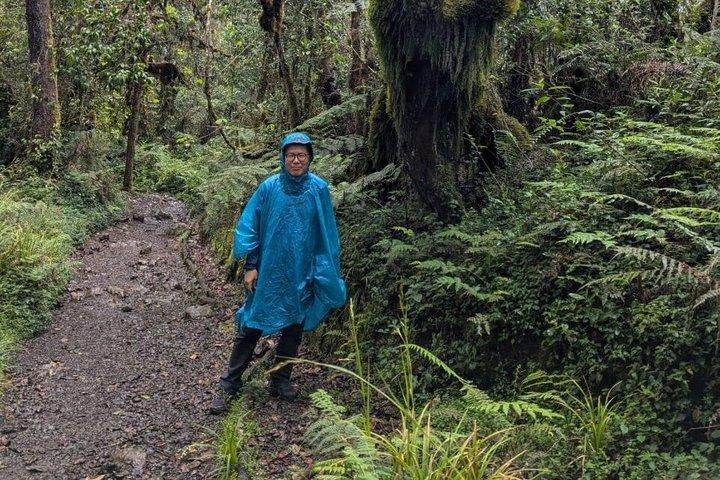 Kilimanjaro dagstur marangu rute