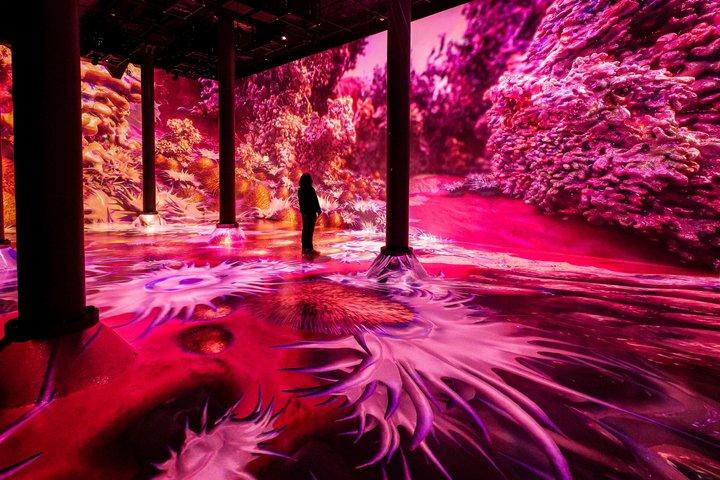 Entrada a ARTECHOUSE NYC