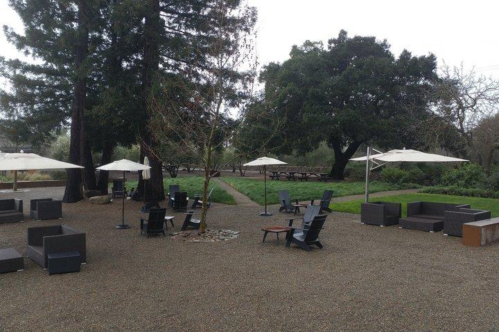 Tour de lujo en sedán y SUV en Napa y Sonoma Valley
