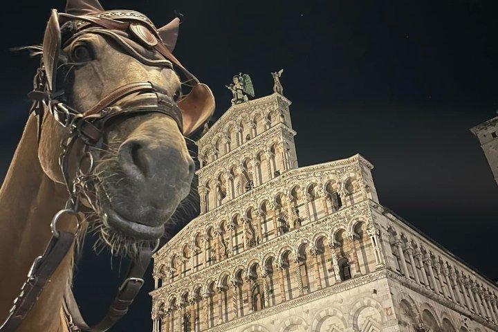 Koninklijke Lucca-ervaring – Luxe rondrit per koets (2 uur)