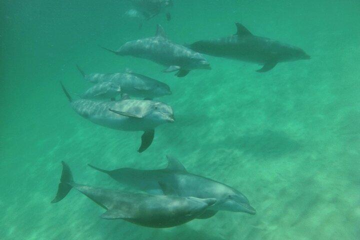 SeaQuest Tagesausflug in Destin