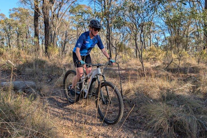 Mount Lofty & Adelaide Hills Guided MTB Tour