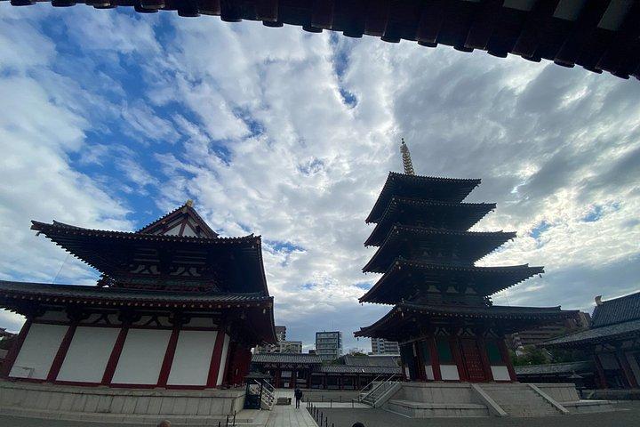 大阪1日プライベートツアー（城、寺院、ランチ付き）