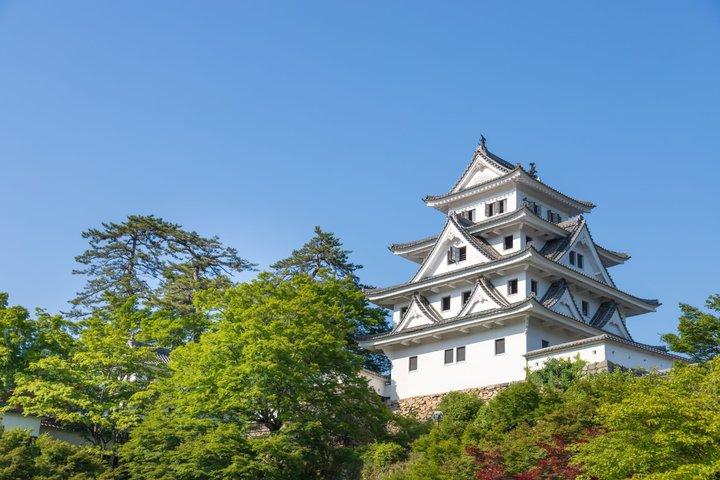 Shirakawago Takayama and Gujo Hachiman Day Tour from Nagoya