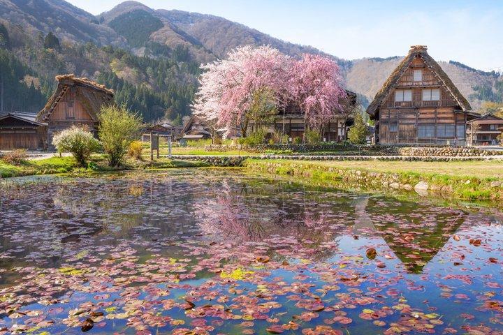 Fairytale Japan : 名古屋発白川郷・高山日帰りツアー