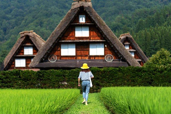 Shirakawago Takayama and Gujo Hachiman Day Tour from Nagoya