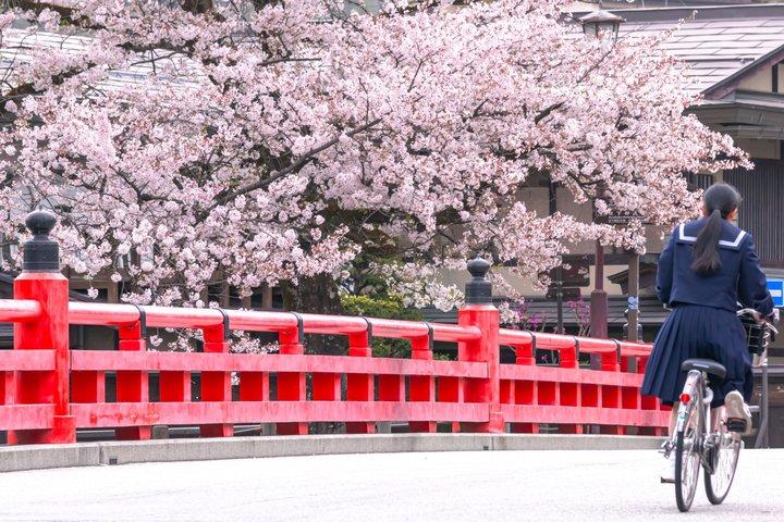 Fairytale Japan : 名古屋発白川郷・高山日帰りツアー