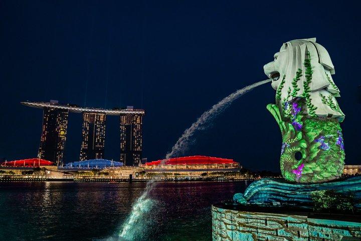 Singapore After Dark : Lichtshow & Riviercruise met gids