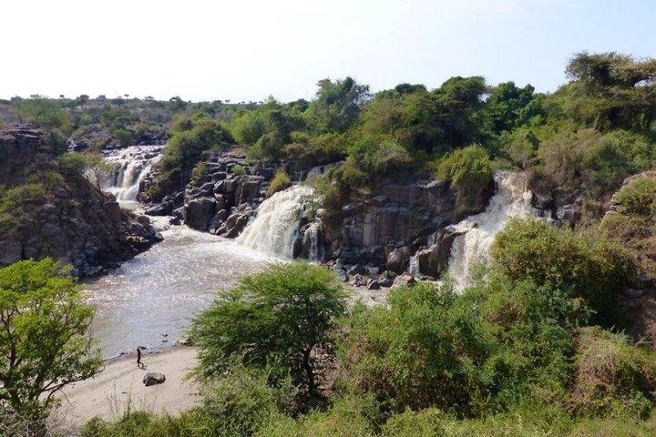 2 Tage Awash-Nationalpark
