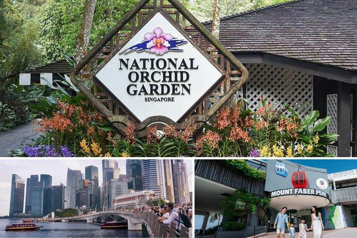 Halvdags rundvisning med National Orchid Garden