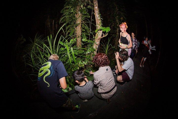 Cairns Botanic Gardens Family Night Walk