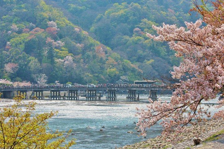 Kyoto : Arashiyama Unveiled – Bambo, Templo, Matcha, Macacos