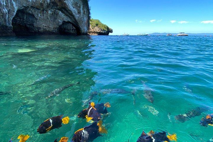 Fai snorkeling alle isole Los Arcos de Mismaloya dalla spiaggia di Los Muertos