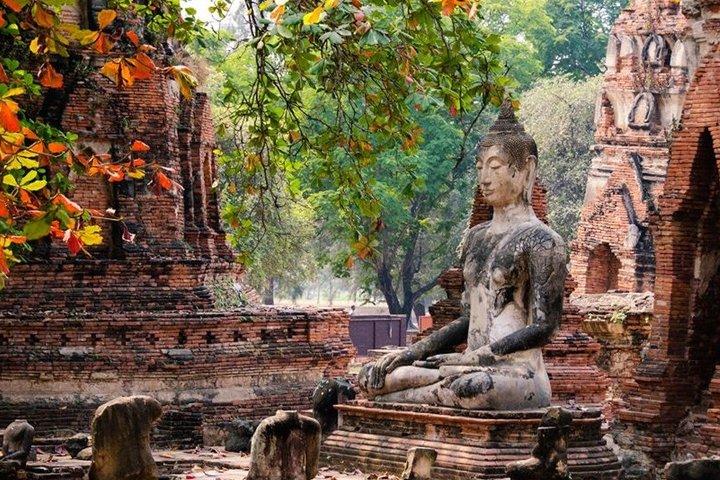 Privat tur til Ayutthaya og Lopburi Monkey Temple
