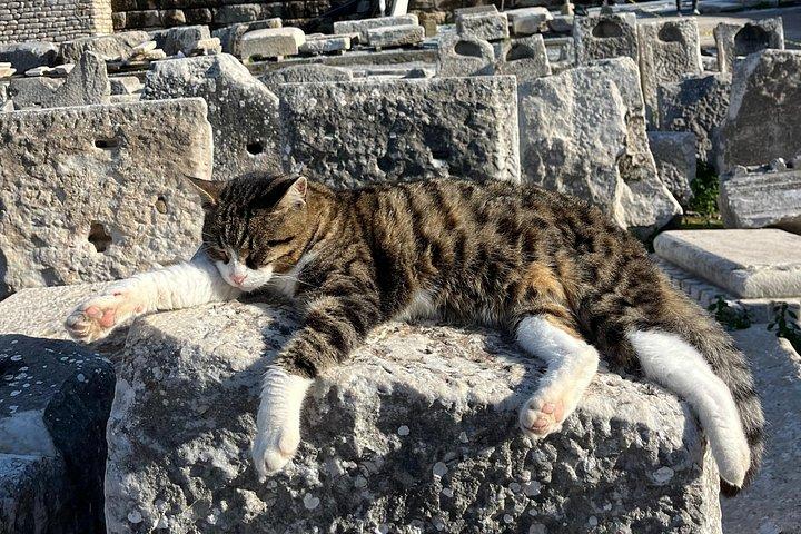 Ephesus Shore Excursion with Lunch and Local Expert Guide