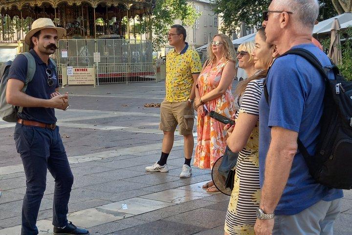 Avignon Walking Tour including Pope's Palace