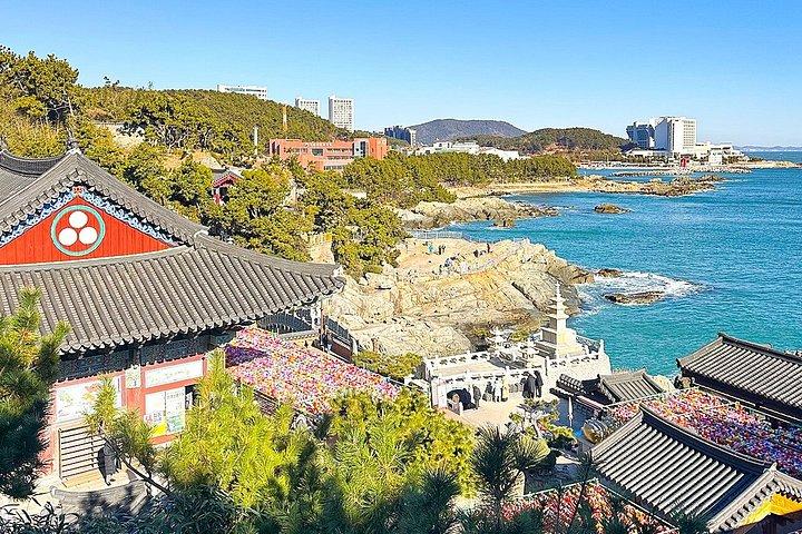 Authentische Busan ganztägige Stadthighlights Tour