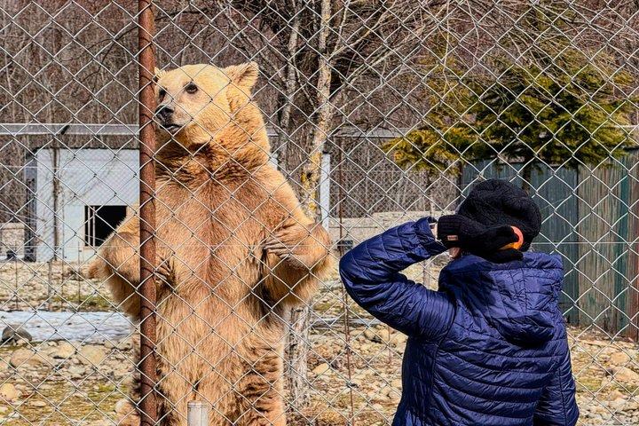 Tbilisi: Familie tur – Bjørne, Kronik, Jvari og Sabaduri skov