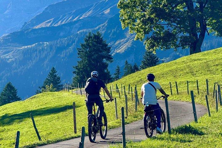Griesalp UNESCO Alpines E-Bike Abenteuer ab Interlaken