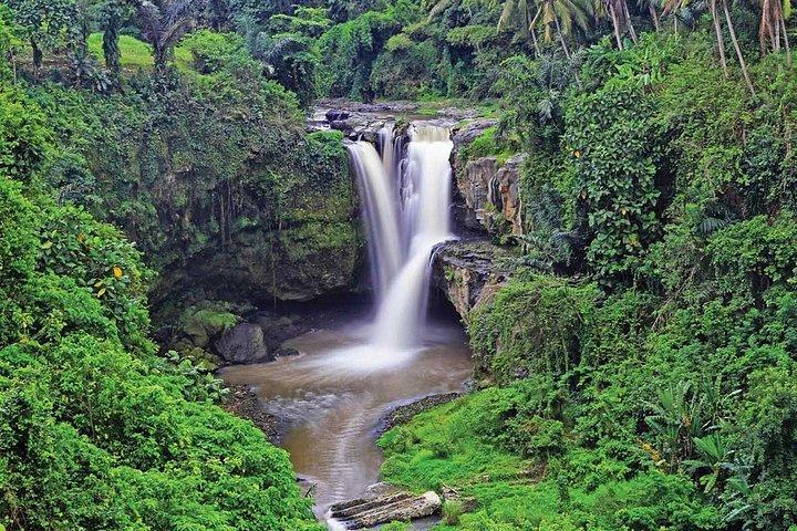 Ubud Privat tur til Tegenungan gamle templer og ris terrasser