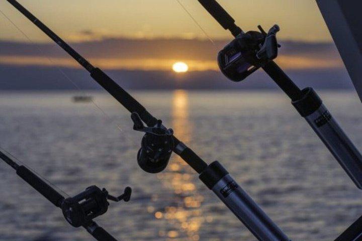 Fishing Adventures in Malaga Capital