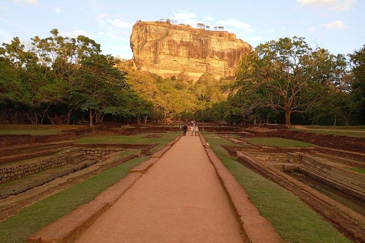Sigiriya and Dambulla Private Day Trip with Safari from Colombo