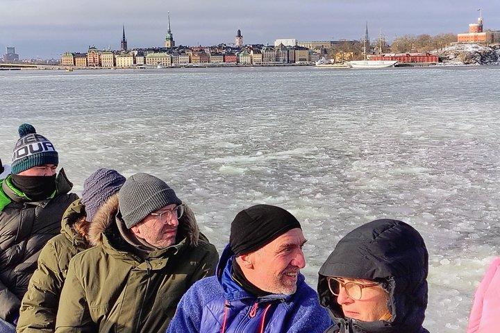 ストックホルム - 水上の美しさ : 旧市街ウォーキング ツアーとボート ツアーの組み合わせ