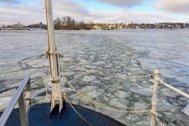 ストックホルム - 水上の美しさ : 旧市街ウォーキング ツアーとボート ツアーの組み合わせ