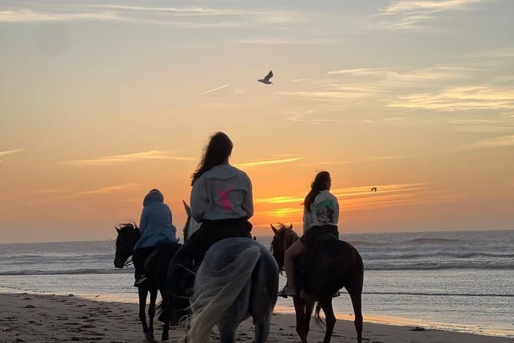 Scenic Horseback Adventure Along Essaouira’s Beaches
