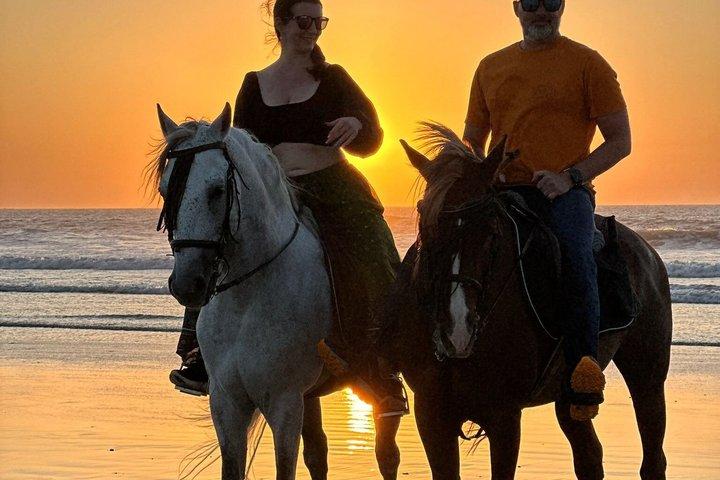 エッサウイラのビーチ沿いを行く風光明媚な乗馬アドベンチャー