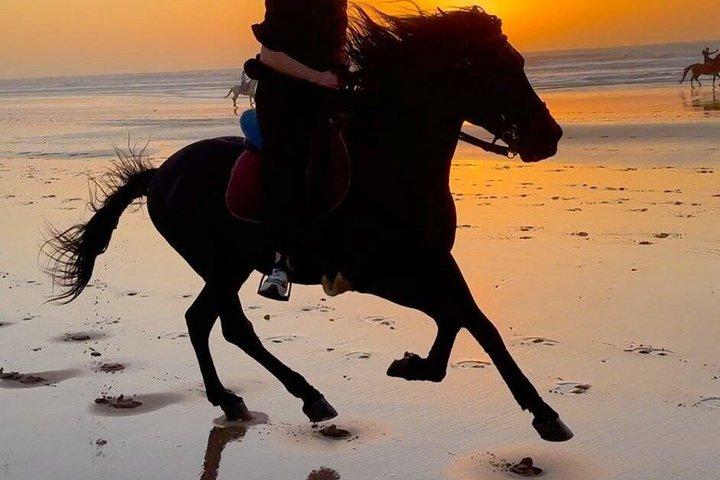 エッサウイラのビーチ沿いを行く風光明媚な乗馬アドベンチャー
