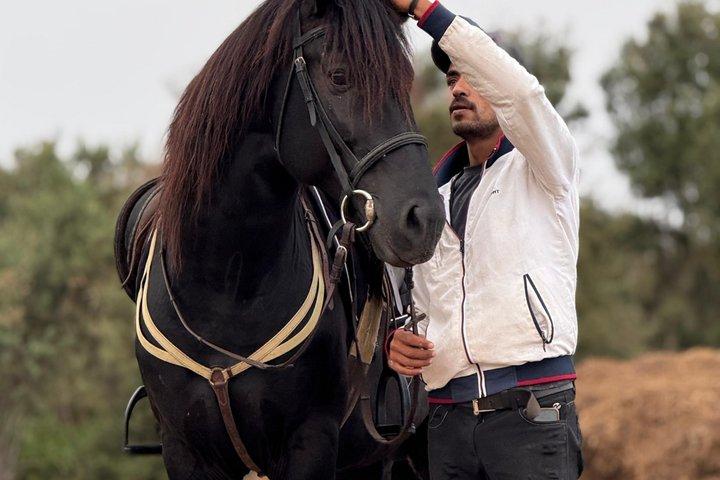エッサウイラのビーチ沿いを行く風光明媚な乗馬アドベンチャー