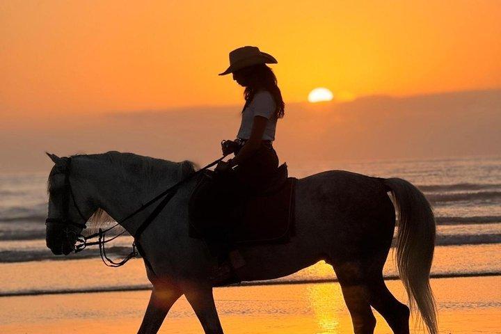 エッサウイラのビーチ沿いを行く風光明媚な乗馬アドベンチャー