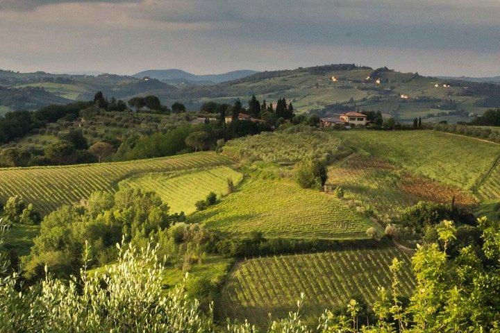 Toscana Caza de Trufas : Una Aventura Culinaria