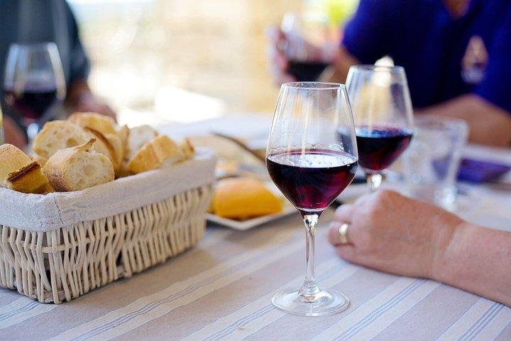 Chasse à la truffe en Toscane : une aventure culinaire