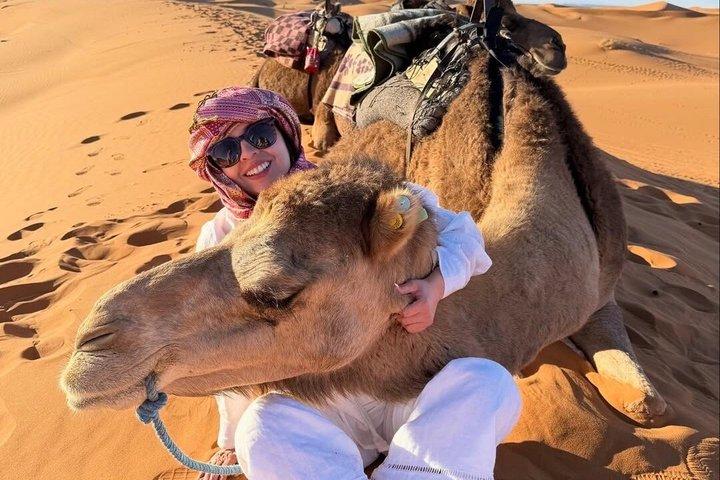 Vip ørken Safari