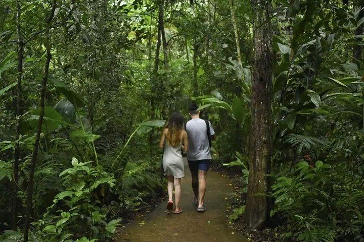 フォズ・デ・イグアスブラジルの滝とバードパーク